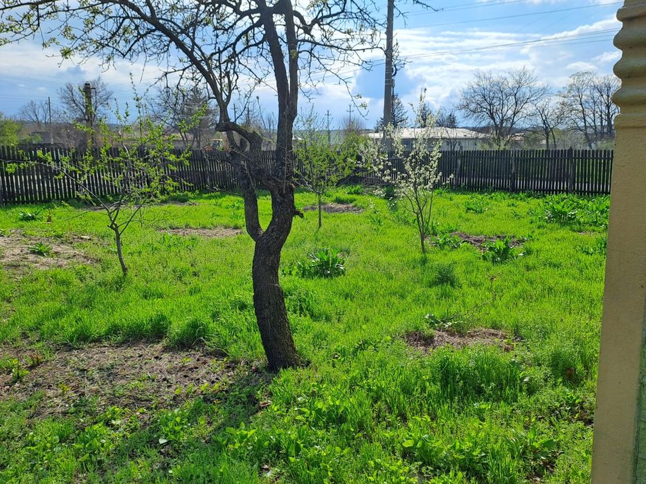 Casa de vanzare la tara