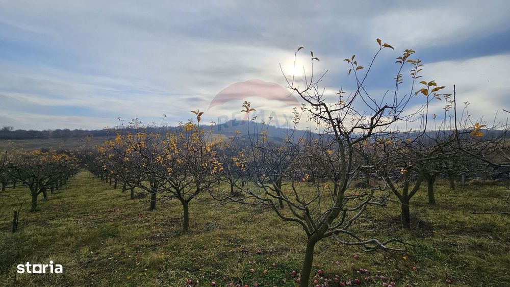 Teren extravilan 10,791mp Falticeni / Strada DJ209A, Opriseni
