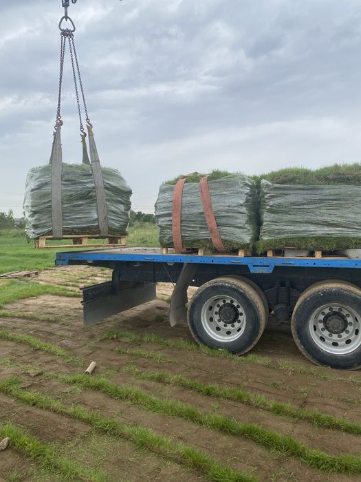 Рулонный газон живой натуральный под ключ| автополив