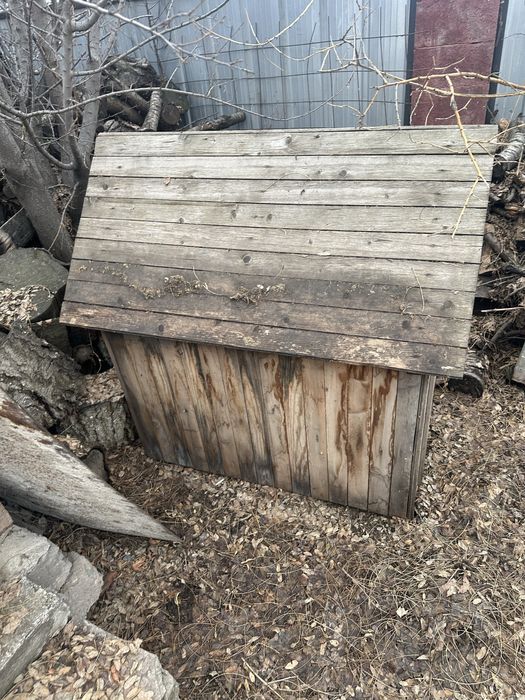 будка домик для собак