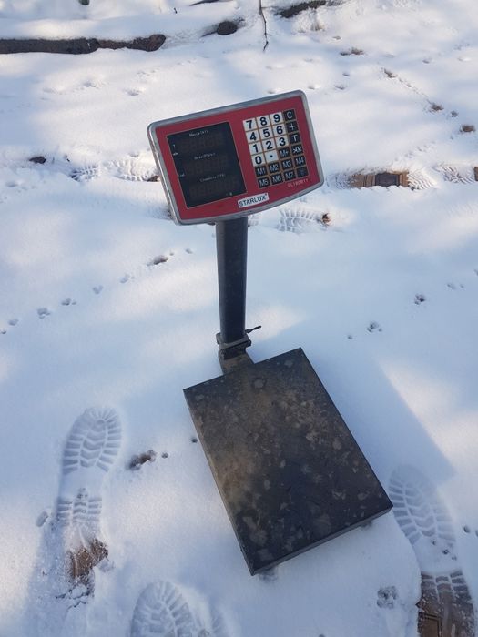 Весы 180кг 1шт.отл работает