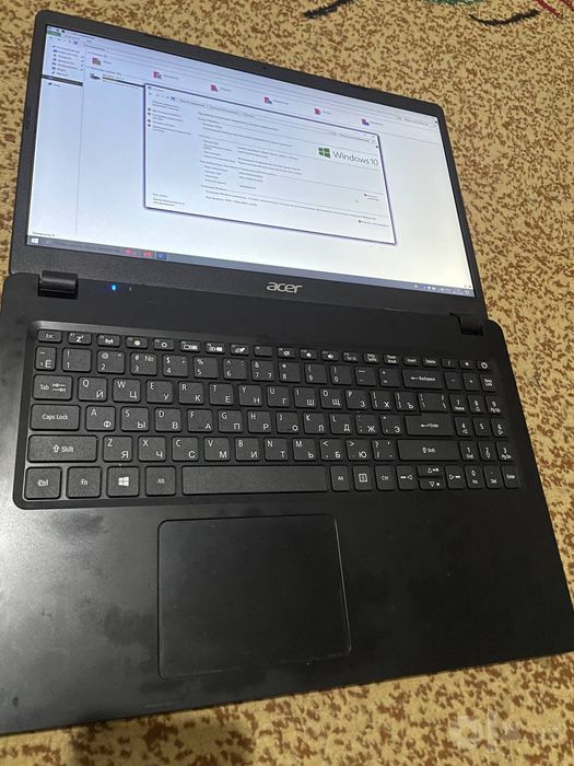 Acer xolati idel