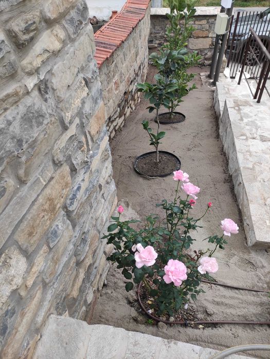 Изграждане на поливни системи. Ландшафтен дизайн. Почистване на терени