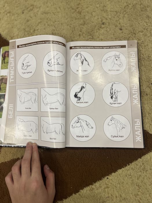 Қазақтың ат бегілік өнері Кітап
