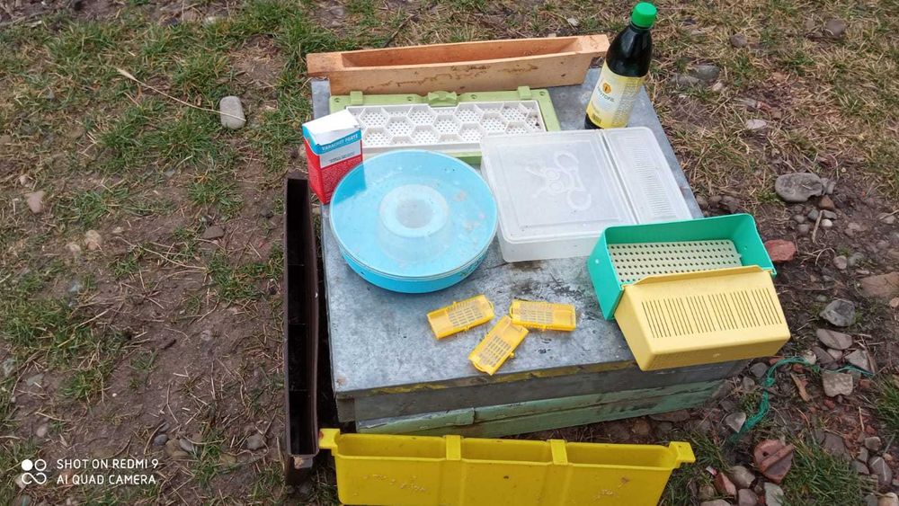 Familii de stupi+cuti+cat