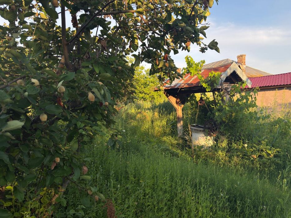 Vand casa im Popesti - Tetoiu Vâlcea