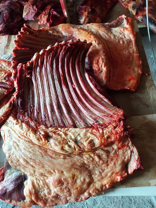 Соғым, байтал, бие