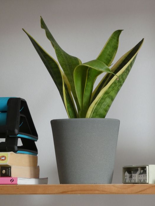 Aparat foto Panasonic Lumix DC-FZ82