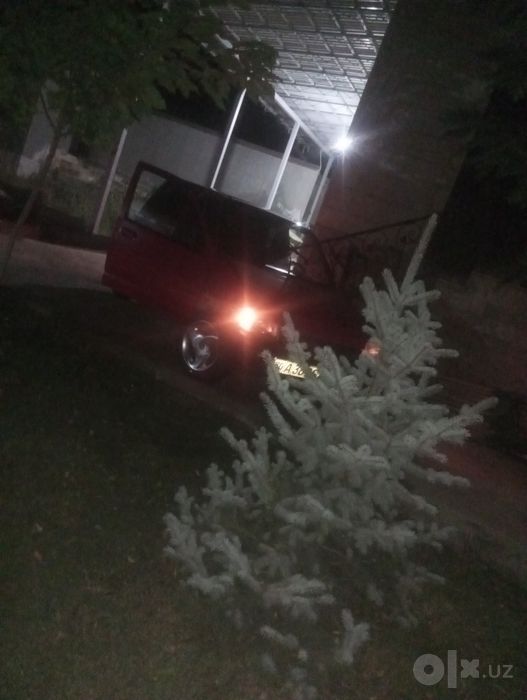 Tico sotiladi yurin turgan