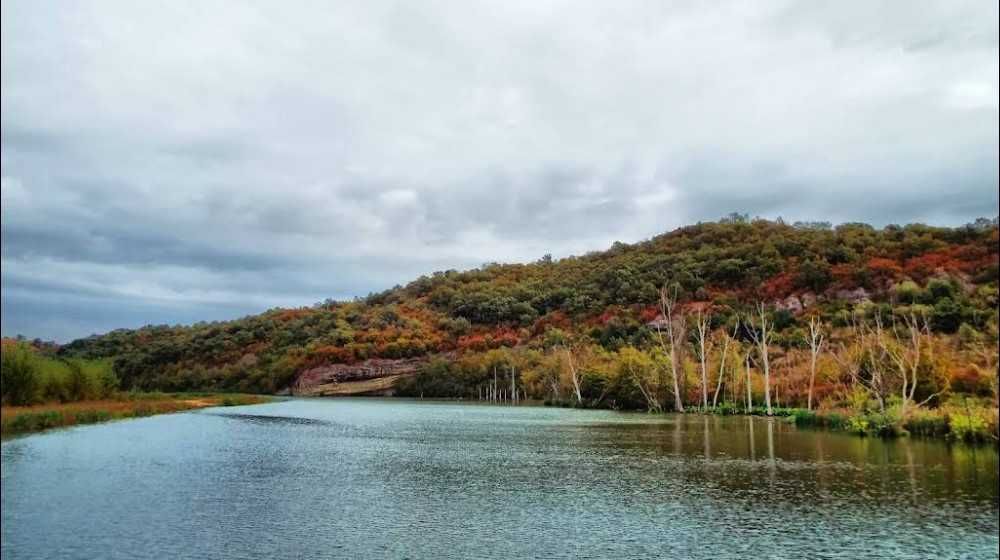 Продава се Къща в Роман - 100 кв.м за 250 €/кв.м - Снимка #5