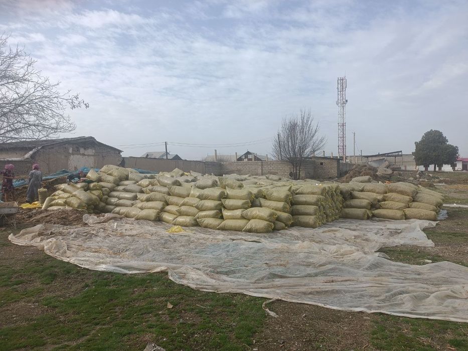 Синаж сотилади оптимга 15000