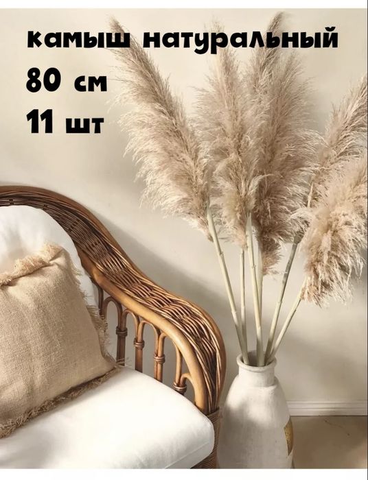 Сухоцветы! Натуральный камыш