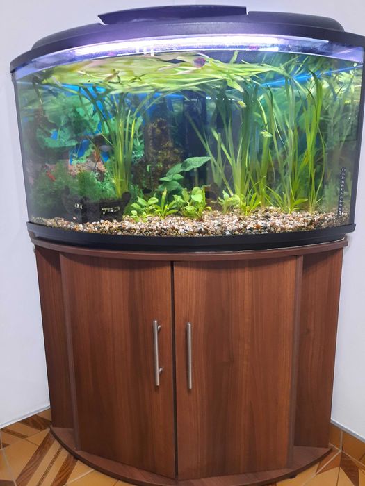 vand acvariu de colt 160 litri complet echipat inclusiv mobilier Floresti - Cluj