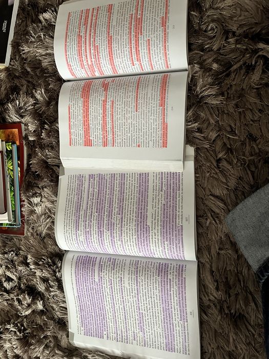 Set materiale BAC limba romana