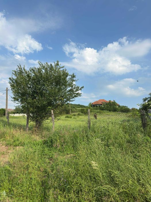 Ocazie unică - Casă Boierească - Filiaşi (Fratoştiţa)  - 8500 mp Teren