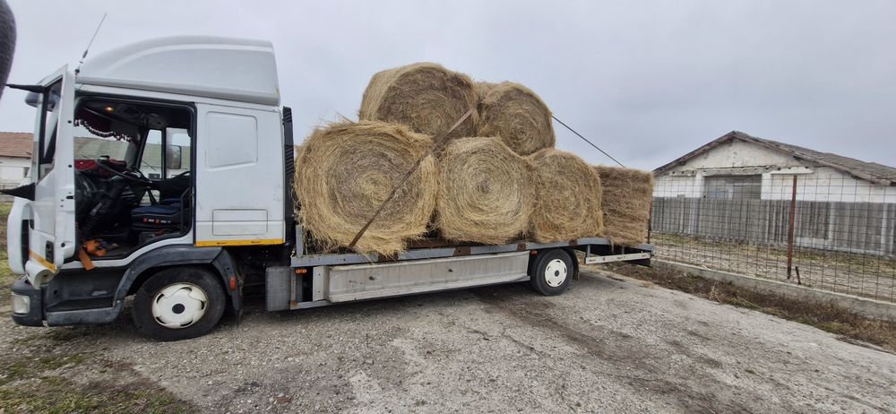 Transport auto și utilaje! Platforma libera!