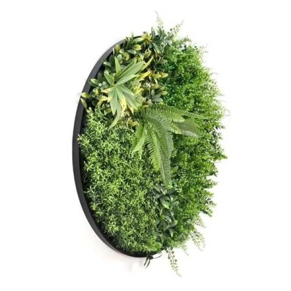 Зелена стена за декорация