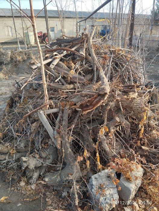 Quruq Tarosha sotiladi