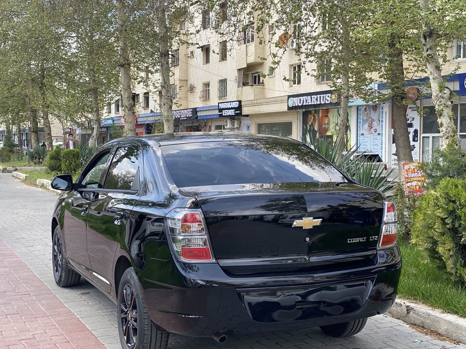 Cobalt 2026 МСМ Pachka