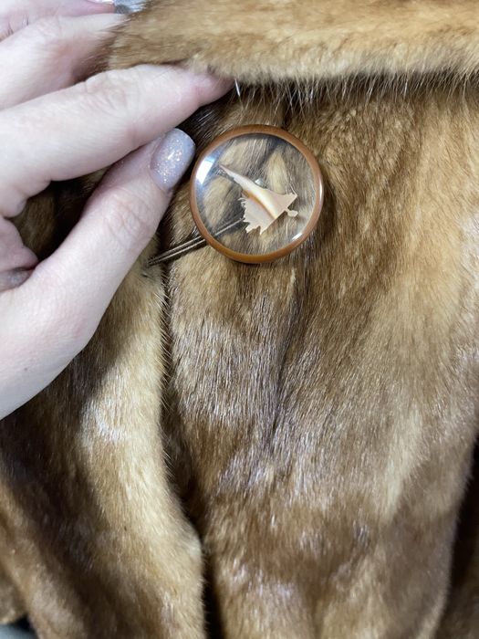 Vizon Mustela, SAGA MINK