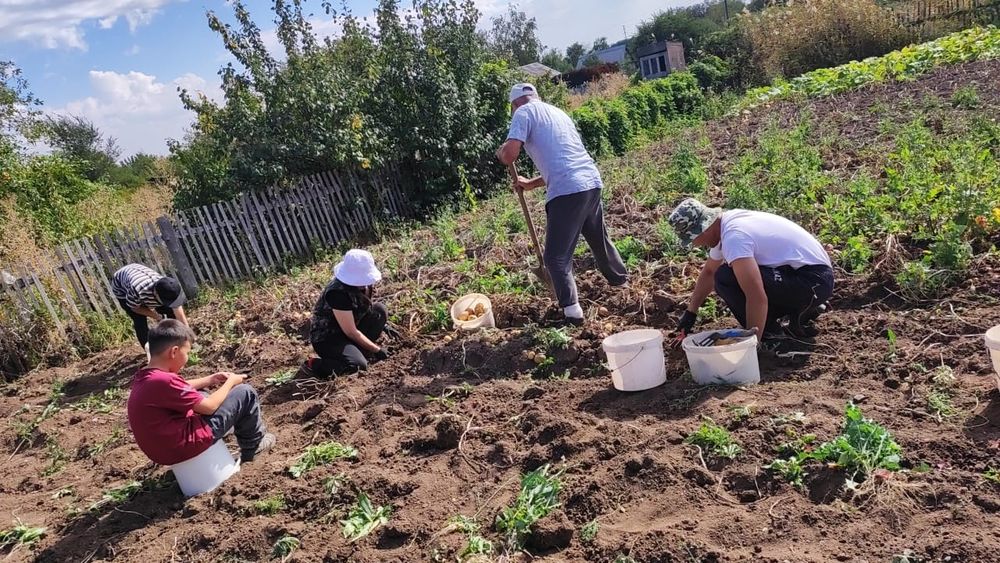 Земельный участок