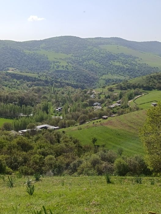 Прадаётся дом...