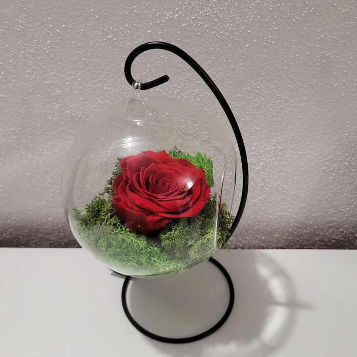 Ornament cu lichieni