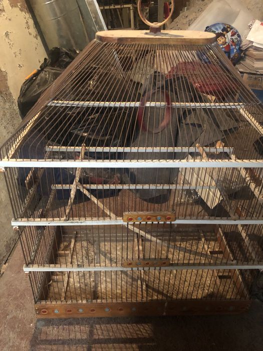 Qafas sotiladi ishlatilgan holati yahwi