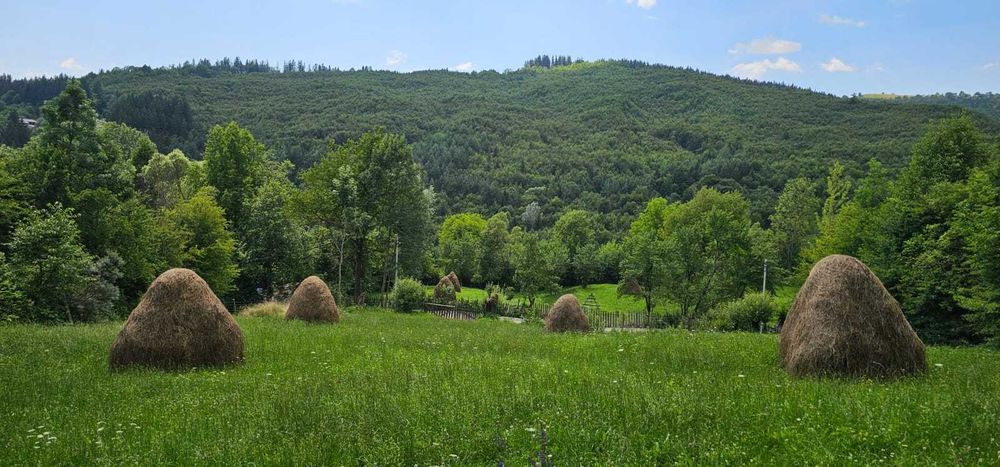 Teren intravilan 2.000 mp de vanzare in comuna Valea Doftanei, Sat Tesila - zona superba, case de vacanta.