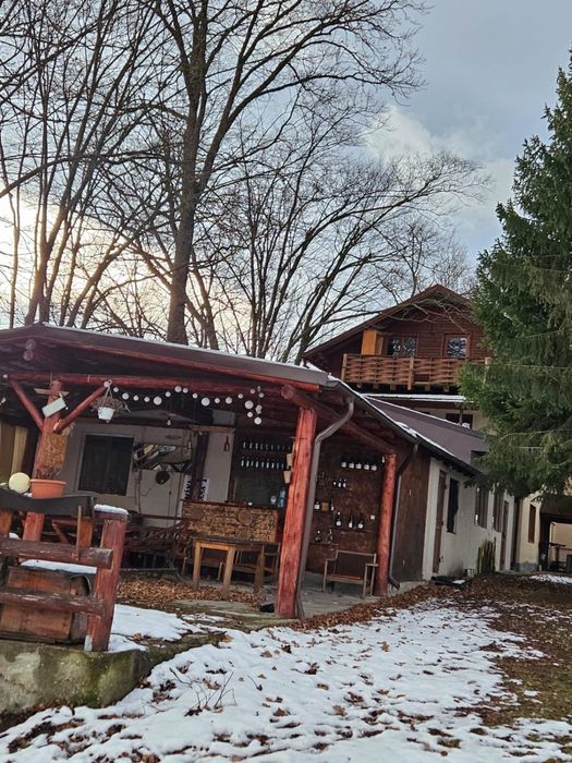 Inchiriez cabane moderne si capsula panoramica
