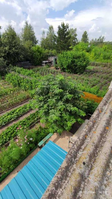 Дача 10 соток Общество «Ракета»