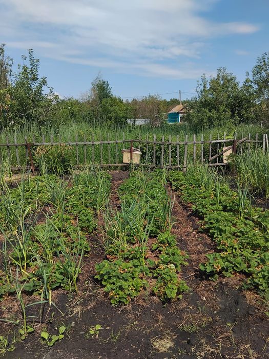 Продам дачу в с/о Борки
