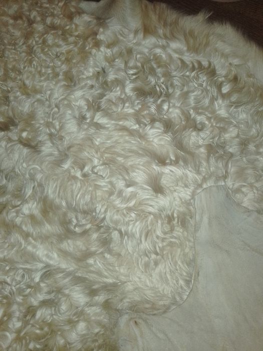 Овчина шкура мех