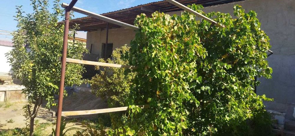 Hovli sotiladi qulay narxda