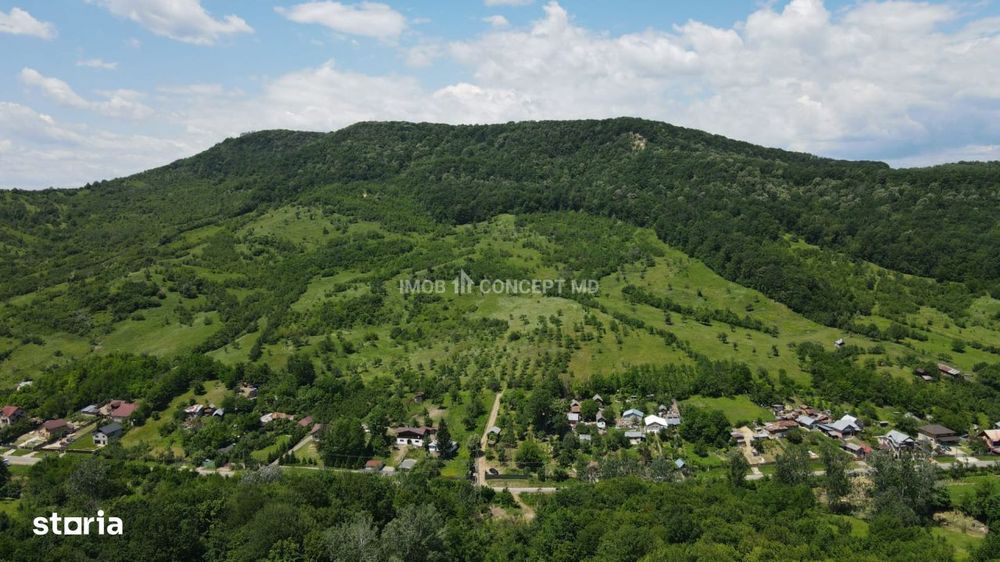 Teren spectaculos in Soimari-1899mp intravilan, 9,5ha faneata, 6.5ha p