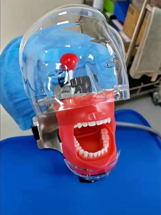 Голова стоматология