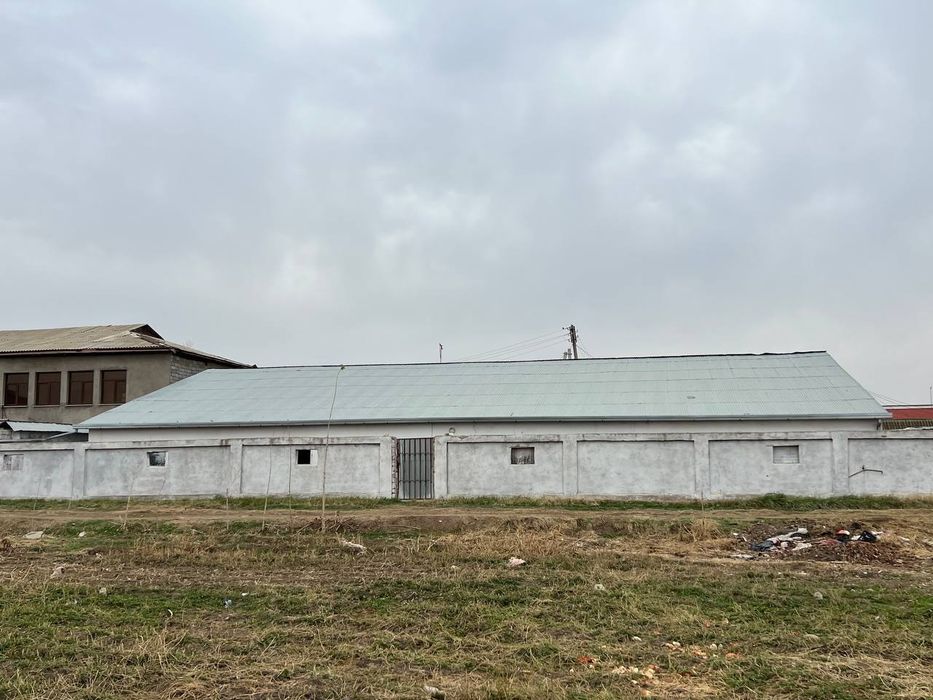 Сотилади тайер бизнес!!! Тайер ферма куй ва мол бокишга шароитлари бор