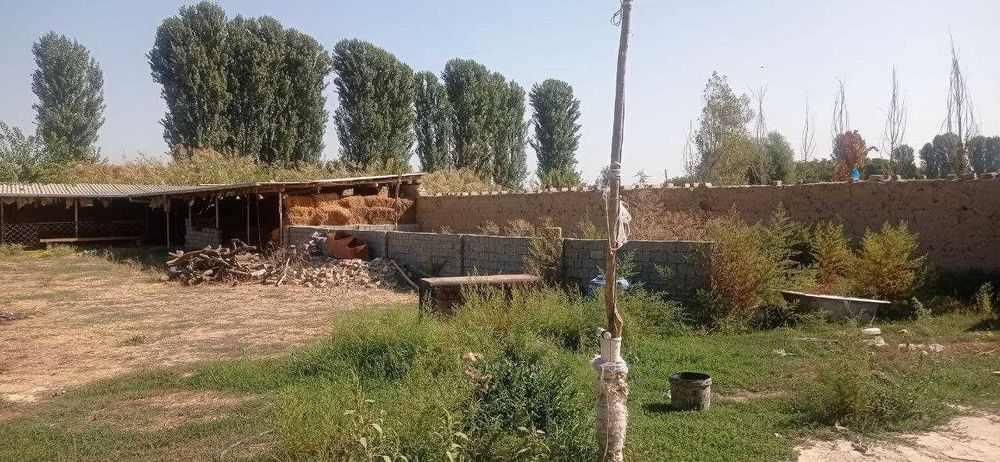 уй Янгийул Кора тепа 15 сотих +ферма