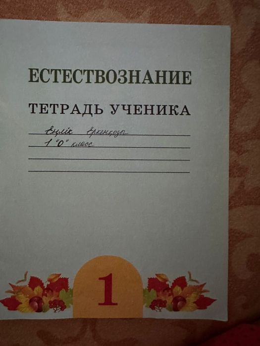 1 класс рабочие тетради