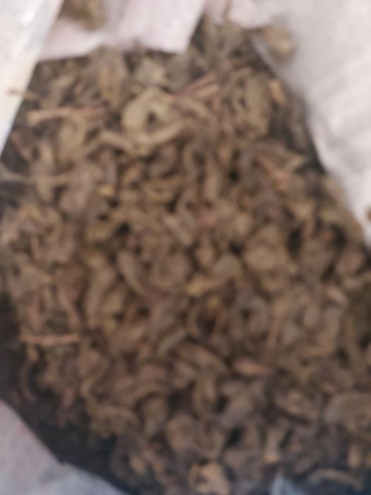 Продам зелёный чай