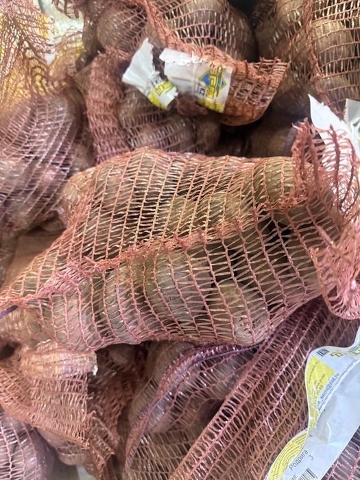 Семенной картофель