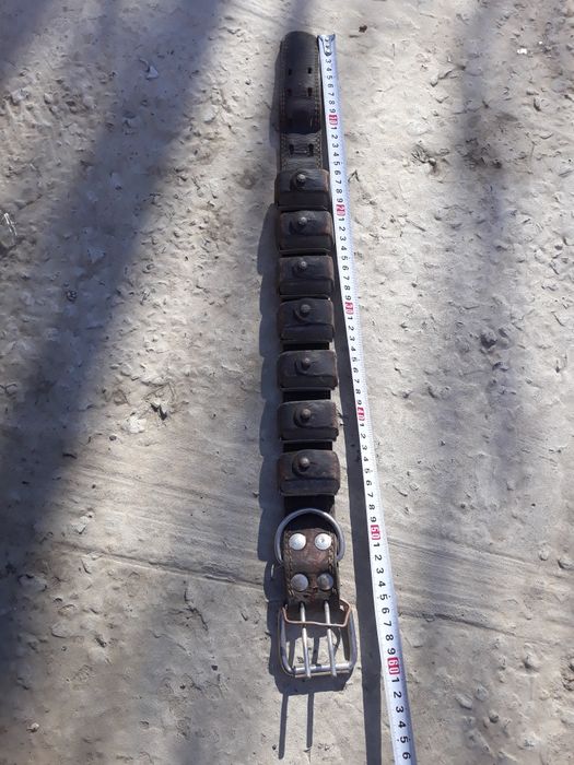 Ошейник с грузом для собак