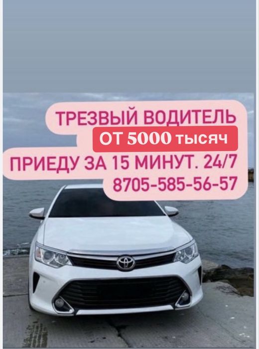 Трезвый водитель