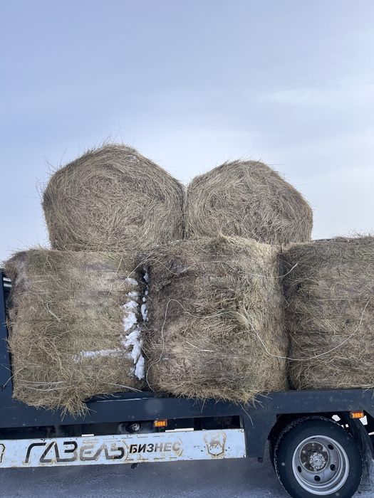 Сено разнотравье