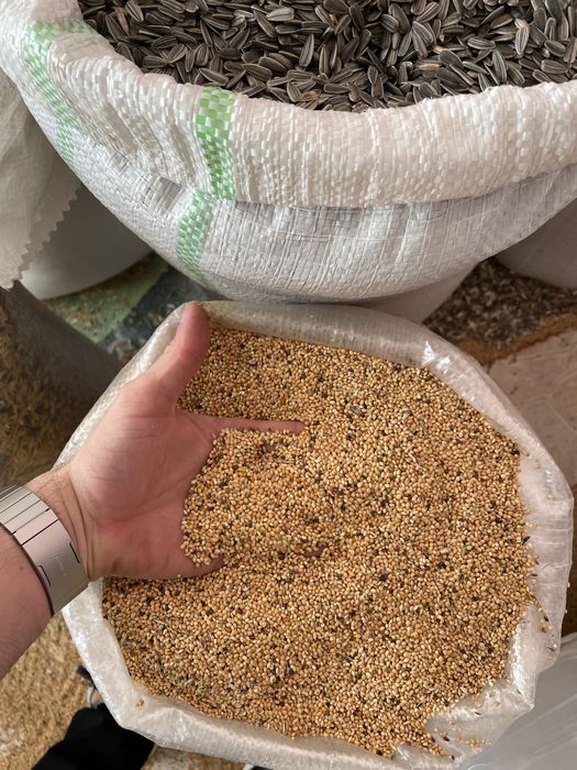 Lucerna, trifoi , iarba sudan , maturica,sorg, borceag,mei,rapita