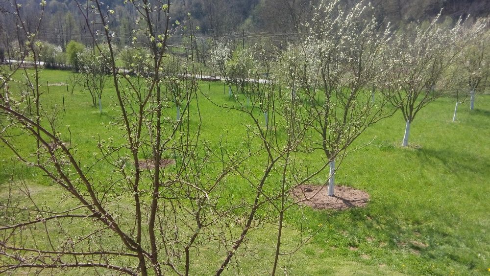 Продава УПИ -2428 кв.м, гр.Тетевен,вилна зона Скрибътна-50000 евро.