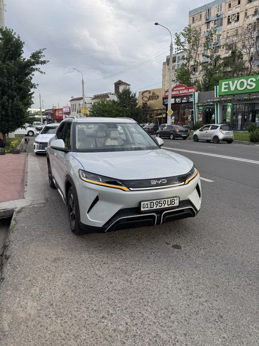 Other Yuan Up 2025 — 3