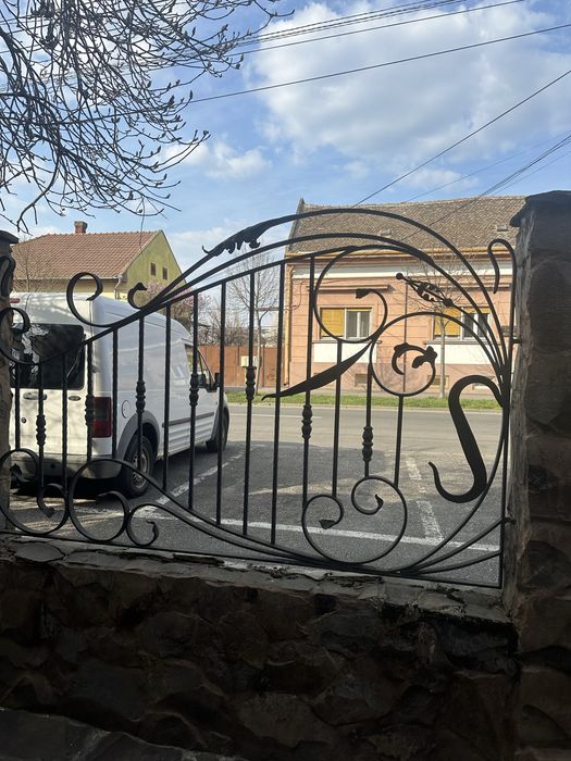 Poarta dubla + poarta mica intrare + 5 panouri fier forjat