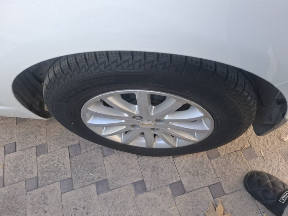 Продам кобилт 2023 викубга бераман