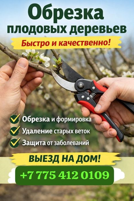 Обрезка деревьев